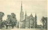 Britain United Kingdom Salisbury Cathedral, Early 1900s Postcard [P1467] - Salisbury