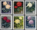 China 1984 T93 Chinese Rose Stamps Flower Flora - Unused Stamps