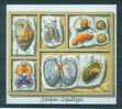 Coquillages  -  Belgique  -   Bloc 122   -   NON Dentelé  -  Escargots  -  Limasses  -  Moules - Coneshells