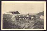 CPA  ANCIENNE- FRANCE-  LE SCOUTISME FEMININ- INSTALLATION DE LA CUISINE DANS LE CAMP DES FILLES- BELLE ANIMATION - Padvinderij