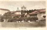 ARS ( 01 ) VUE DU VILLAGE . Troupeau De Vaches - Ars-sur-Formans