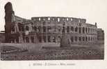 8343    Italia     Roma    Il  Colosseo  E Meta  Sudante  NV - Colosseum