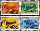 China 1989 J163 40th National Day Stamps Globe Flower - Nuevos