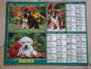 Calendrier ALMANACH Du Facteur PTT - 2002 - Chiens & Chats - OLLER - Nord 59 - Très Bon état - Grossformat : 2001-...