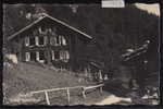 Isenfluh Chalet Waldrand (1439) - Wald