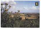 Westouter (Heuvelland). Rodeberg - Zwartenberg (Zwarteberg). Panorama. Mont Rouge - Mont Noir. - Heuvelland