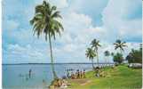 Johore Bahru Seaside Resort Beach, Swimming, On C1960s Vintage Postcard, Auto - Malaysia