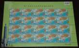 2007 1st Taiwan African Heads Of State Summit Stamp Sheet Map Taipei 101 - Blokken & Velletjes