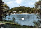 55 - MEUSE - DUN-SUR-MEUSE - Le Lac Vert - Vue Générale  - Dentelée 10,4 X 14,8 - Dun Sur Meuse