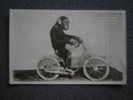 CPSM ANIMAUX - SINGE FAISANT DU VELO - Ecrite - - Monkeys