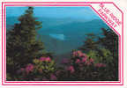 Blue Ridge Parkway - Other & Unclassified