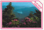 Blue Ridge Parkway - Altri & Non Classificati