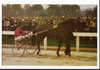SPORT : HIPPISME-TROT ATTELE-A. FAURE Et QUASIPYL-PUBLICITE VINS  POSTILLON- Recto CALENDRIER COURSES AVRIL 1967 - Horse Show