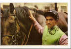 SPORT : HIPPISME-J.C. DESAINT Avec PANSA-PUBLICITE VINS  POSTILLON- Recto CALENDRIER COURSES NOVEMBRE1967 - Horse Show