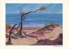 Fabulous Padre Island Painting, Texas - Corpus Christi