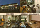 GRISOLLES CARTE PUBLICITAIRE RELAIS DES GARRIGUES +  PLAN AU DOS VOIR SCANS - Grisolles