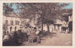 DPT 82 @ CPSM Vers 1945 -1950 @ MONCLAR DE QUERCY  @ Un Coin De La Promenade @ - Montclar De Quercy