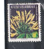 AEF YT 243 Oblitéré - Used Stamps