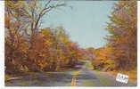 PO9809# NEW YORK - AUTUMN ON LONG ISLAND  VG Southampton 1972 - Long Island