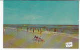 PO9810# NEW YORK - LONG ISLAND - SPIAGGIA   No VG - Long Island