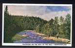 RB 592 - Postcard Pulpwood On The Way To The Mill - Newfoundland Canada - Altri & Non Classificati