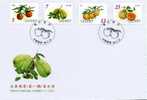 FDC Taiwan 2001 Fruit Stamps (A) Apple Guava Pear Melon Flora - FDC