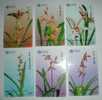 Orchid Flowers,China 2001 Set Of 6 Used Phonecards - China