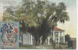 USA New Orleans Southern Home With "world's Panama Exposition 1915" - New Orleans