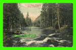 YOSOMITE VALLEY, CA - MERCED RIVER - PUB. NEWMAN POST CARD CO - TRAVEL IN 1907 - 3/4 BACK - - Yosemite