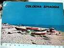 COLOGNA SPIAGGIA TERAMO VB1986   CR13786 - Teramo