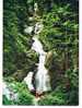 Triberg Im Schwarzwald   Deutschlands Gröbte Wasserfälle 162 M Hoch Genummerd 23 69 10 - Triberg