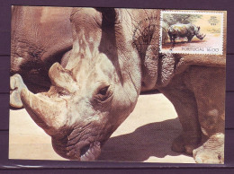 Portugal 1984 MiNr. 1620 100 Jahre Zoo Von Lissabon The White Rhinoceros (Ceratotherium Simum)  MC 2,50 € - Rhinozerosse