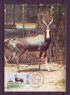 Portugal 1984 MiNr. 1619 100 Jahre Zoo Von Lissabon The Blesbok Or Blesbuck (Damaliscus Pygargus Phillipsi)   MC 2,50 € - Gibier