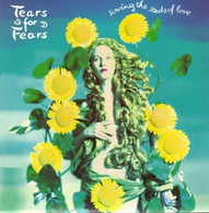 SP 45 RPM (7")  Tears For Fears  "  Sowing The Seeds  " - Andere - Engelstalig