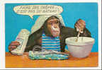 ANIMAUX - SINGE ET GASTRONOMIE - FAIRE DES CREPES...C´EST PAS DU GATEAU ! - Monkeys