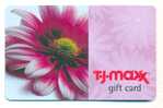 T-J-Maxx,  U.S.A. Carte Cadeau Pour Collection # 8 - Gift And Loyalty Cards