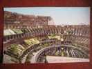 Roma - Interno Del Colosseo - Coliseo