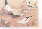 FORMOSE CARTE MAXIMUM NUM.YVERT  2354    FAUNE OISEAU PEINTURE DU MANUEL DES OISEAUX  DYNASTIE CHING - Other & Unclassified