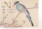 FORMOSE CARTE MAXIMUM NUM.YVERT  2360    FAUNE OISEAU PEINTURE DU MANUEL DES OISEAUX  DYNASTIE CHING - Other & Unclassified