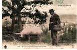 CPA SCENE DU CENTRE GROUPE SYMPATHIQUE CHERCHANT LA TRUFFE COCHON PORC (CACHET 1906) - Cerdos