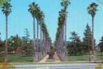 CALIFORNIE - LONG BEACH - HOUGHTON PARK - Long Beach
