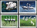 China 1983 T83 Swan Stamps Bird Fauna Lake - Schwäne