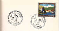 1987 Italia Bologna Cicogna Ornitologia Storks Wading Birds Echassiers Cigognes Cicogne Ciguenas Ornithology Ornithologi - Mechanical Postmarks (Advertisement)