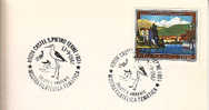 1987 Italia Bologna Cicogna Ornitologia Storks Wading Birds Echassiers Cigognes Cicogne Ciguenas Ornithology Ornithologi - Afstempelingen & Vlagstempels