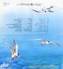 Folder Taiwan 2002 Conservation Of Bird Stamp S/s Crested Tern Fauna Rock Migratory - Ongebruikt