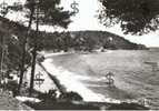 LE RAYOL Var 83 : Corniche Des Maures : Un Coin De La Plage - Rayol-Canadel-sur-Mer