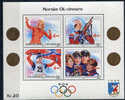 Norway 1989 - Norwegian OL-Winners - Minisheet - Ungebraucht