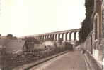 Cachan ( Val De Marne) L'aqueduc En 1964 - Cachan