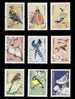 China 2002-2006 R31 Bird Stamps Set Of 9v Fauna Birds Magpie Pheasant - Gallinaceans & Pheasants