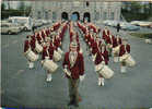 CPM BELGIQUE - La Royale Fanfare Communale De HUISSIGNIES - Chievres